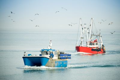 Les pêcheurs : acteurs dans la préservation de la ressource