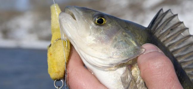 Le jigging