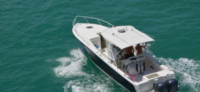 La pêche du bar en bateau