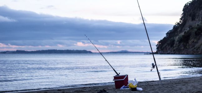 Le surfcasting