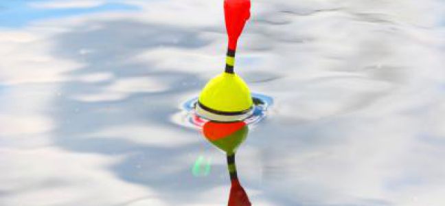 Conseils matériels pour pêcher le bar au bouchon du bord