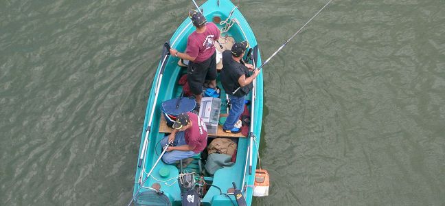 Conseil sur le matériel pour pêcher le lieu à la mitraillette