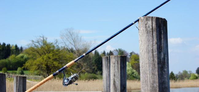 Conseil sur le matériel pour pêcher le bar au jig