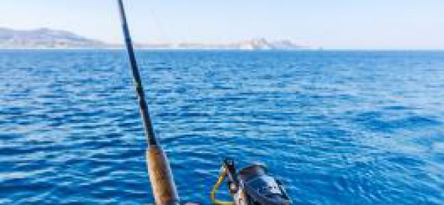 Conseils sur le matériel pour pêcher le maquereau à la dandinette ou au lancer