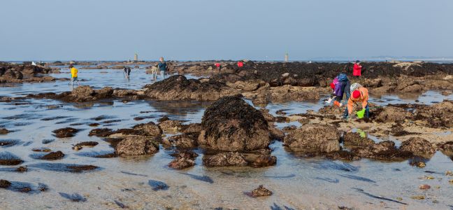 La pêche à pied