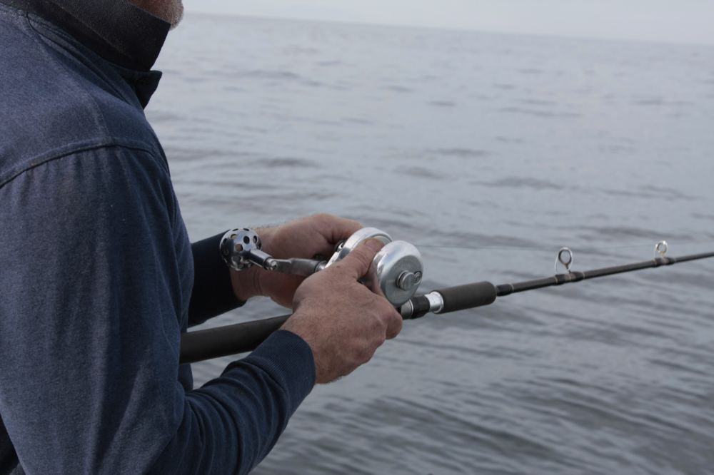 Pêcher le bar à soutenir